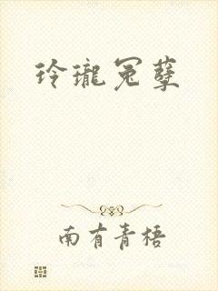 玲珑冤孽