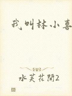 我叫林小喜17封面