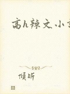 高h辣文小说