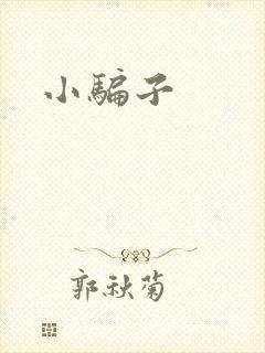 小骗子