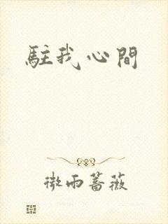 驻我心间
