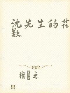 沈先生的花式调数
