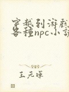 穿越到游戏里和各种npc小说
