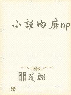 小说肉糜np封面