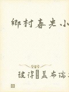 乡村春光小说