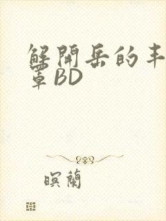 解开岳的丰满奶罩BD封面