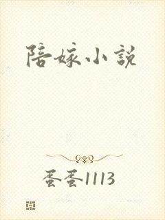 陪嫁小说