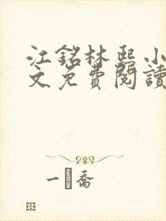 江铭林熙小说全文免费阅读封面