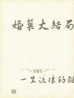 婚巢大结局