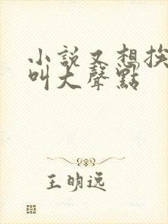 小说又想挨C了叫大声点封面