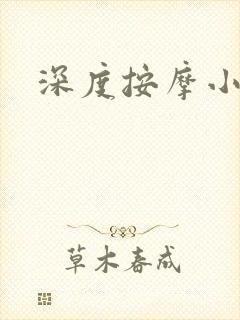 深度按摩小说