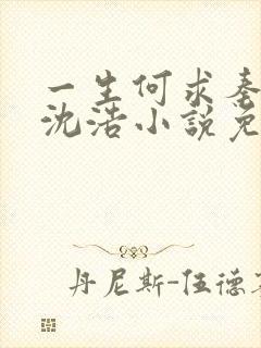 一生何求秦菲雪沈浩小说免费阅读全文