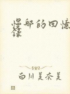 慢哪的回忆录目录封面
