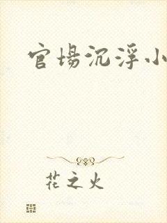 官场沉浮小说
