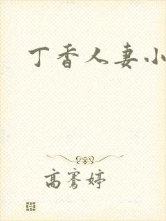 丁香人妻小说封面