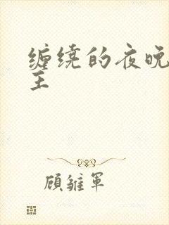 缠绕的夜晚双男主