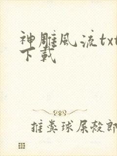 神雕风流txt下载封面