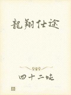 龙翔仕途封面