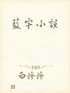 蓝宇小说