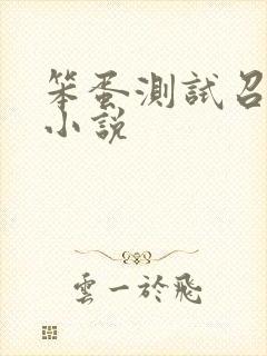 笨蛋测试召唤兽小说
