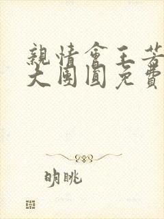 亲情会王芳高敏大团圆免费阅读封面