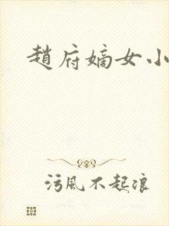 赵府嫡女小说