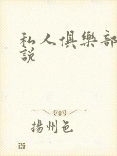 私人俱乐部 小说封面
