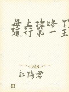 母上攻略 竹影随行第一主板