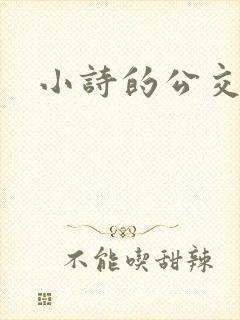 小诗的公交车