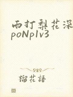 雨打梨花深闭门poNp1v3封面