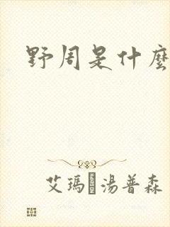 野周是什么意思封面