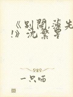 《别闹,薄先生!》沈繁星