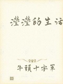 滢滢的生活日记封面