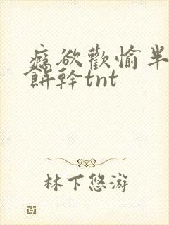瘾欲欢愉半块小饼干tnt