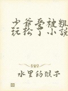 少爷受被粗汉H玩松了小说封面