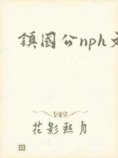 镇国公nph文