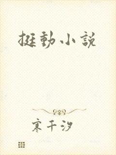 挺动小说