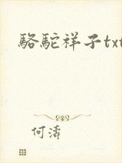 骆驼祥子txt