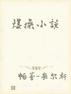 爆操小说