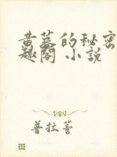 黄蓉的秘密 笔趣阁 小说封面