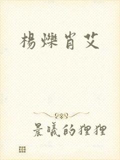 杨烁肖艾