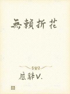 无赖折花封面
