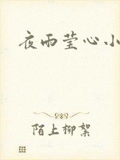 夜雨莹心小说
