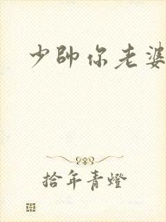 少帅你老婆