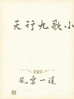 天行九歌小说