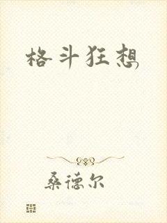 格斗狂想封面
