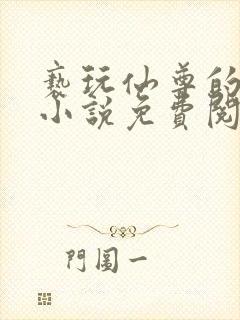 亵玩仙尊的道侣小说免费阅读封面