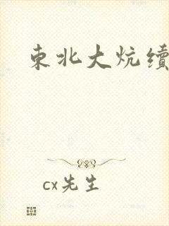 东北大炕续封面