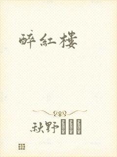 醉红楼