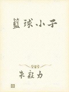 篮球小子